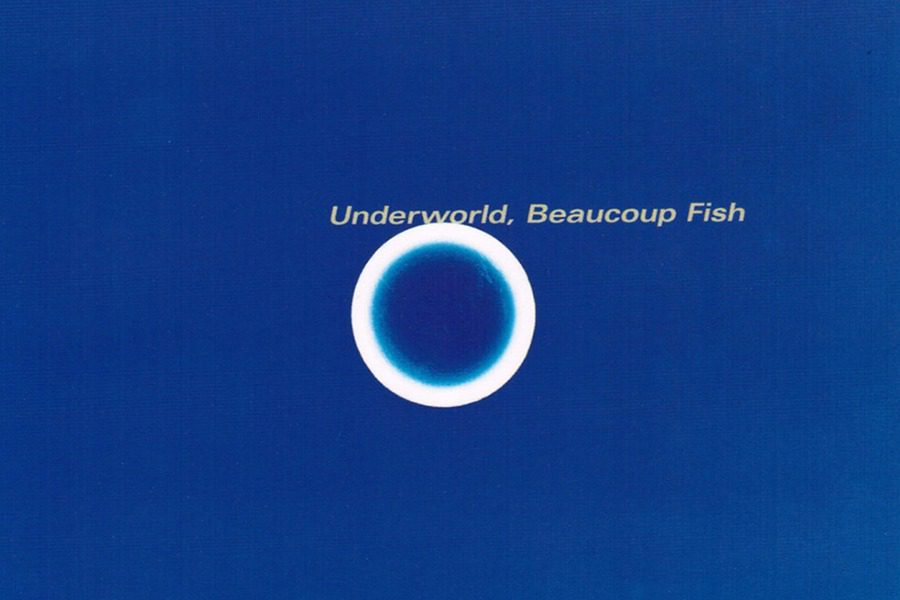 Beaucoup Fish